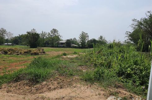 Land for sale in Nang Lae, Chiang Rai