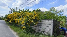 Land for sale in Bang Khun Kong, Nonthaburi