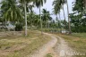 Land for sale in Sao Phao, Nakhon Si Thammarat