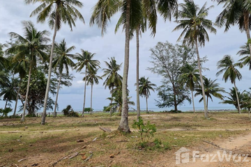 Land for sale in Sao Phao, Nakhon Si Thammarat