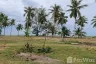 Land for sale in Sao Phao, Nakhon Si Thammarat