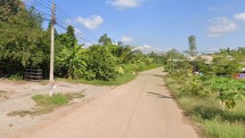 Land for sale in Khlong Khachen, Phichit