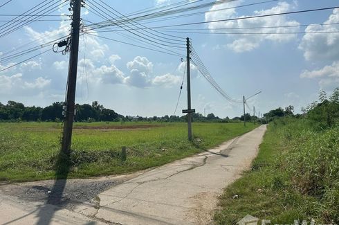 Land for sale in Khlong Khachen, Phichit