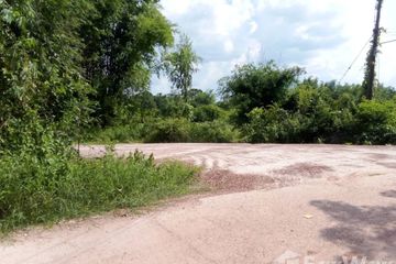 Land for sale in Tha Uthen, Nakhon Phanom