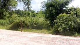 Land for sale in Tha Uthen, Nakhon Phanom