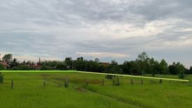 Land for sale in Sakhrai, Nong Khai