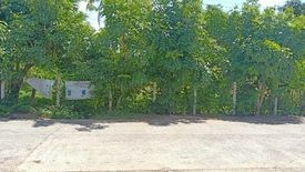 Land for sale in Ta Ong, Surin