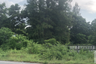 Land for sale in Khanom, Nakhon Si Thammarat