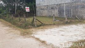 Land for sale in Saba Yoi, Songkhla