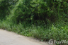 Land for sale in Nai Mueang, Phitsanulok