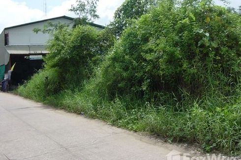 Land for sale in Nai Mueang, Phitsanulok