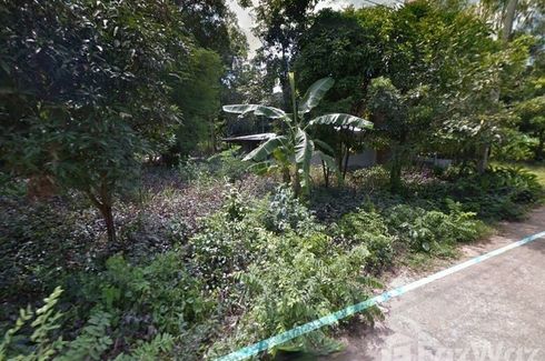 Land for sale in Siao, Sisaket