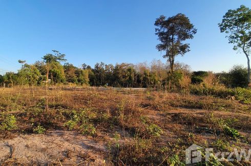 Land for sale in Khilek, Chiang Mai