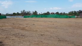 Land for sale in Nong Sano, Buriram