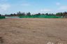 Land for sale in Nong Sano, Buriram