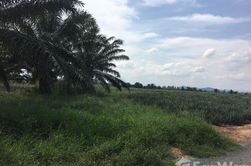 Land for sale in Bo Nok, Prachuap Khiri Khan