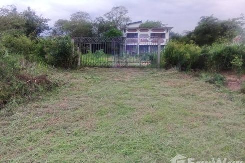 Land for sale in Tha Thung Luang, Lamphun