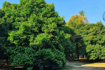 Land for sale in Kwian Hak, Chanthaburi