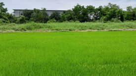 Land for sale in Phlai Chumphon, Phitsanulok