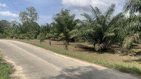 Land for sale in Bang Muang, Phang Nga