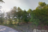 Land for sale in Bang Muang, Phang Nga