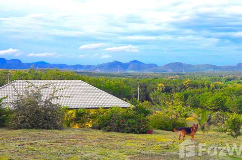 Land for sale in Na Din Dam, Loei