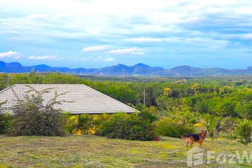 Land for sale in Na Din Dam, Loei