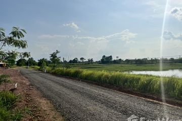 Land for sale in Salakdai, Surin