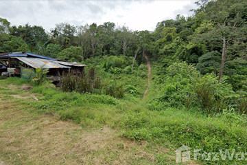 Land for sale in Ko Lanta Yai, Krabi