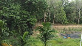 Land for sale in Ko Lanta Yai, Krabi