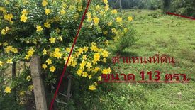 Land for sale in Khon Klan, Satun