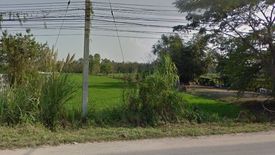 Land for sale in Rop Wiang, Chiang Rai