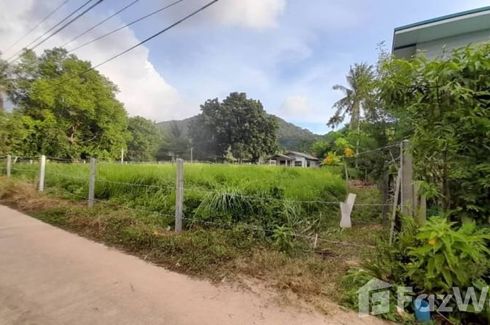 Land for sale in Ko Chang, Trat