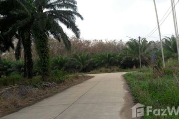 Land for sale in Thung Luang, Chumphon