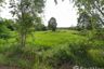 Land for sale in Tha Sa-at, Bueng Kan