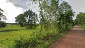 Land for sale in Tha Sa-at, Bueng Kan