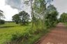 Land for sale in Tha Sa-at, Bueng Kan