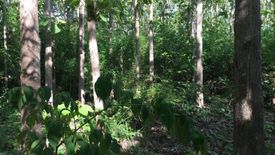 Land for sale in Puea, Nan