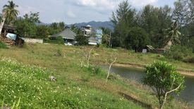 Land for sale in Khuekkhak, Phang Nga