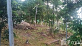 Land for sale in Ko Pha-ngan, Surat Thani