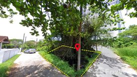 Land for sale in Rusa Milae, Pattani