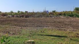 Land for sale in Don Khoi, Nakhon Pathom