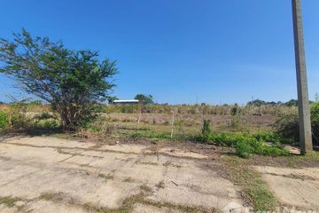 Land for sale in Don Khoi, Nakhon Pathom