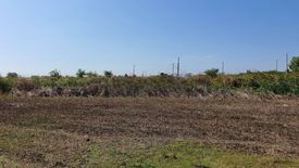 Land for sale in Don Khoi, Nakhon Pathom