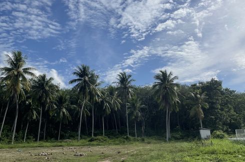 Land for sale in Ko Yao Yai, Phang Nga