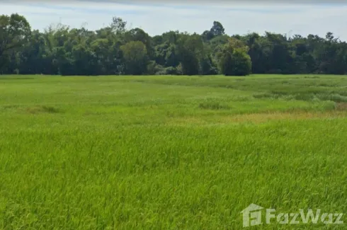 Land for sale in Pao, Ubon Ratchathani