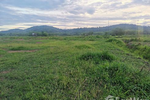 Land for sale in Du Tai, Nan