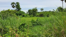 Land for sale in Pak Nakhon, Nakhon Si Thammarat