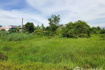 Land for sale in Pak Nakhon, Nakhon Si Thammarat