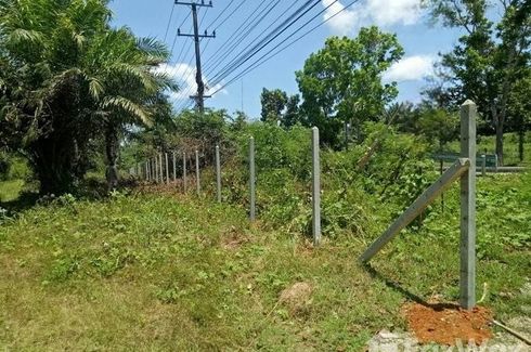 Land for sale in Na Kratam, Chumphon